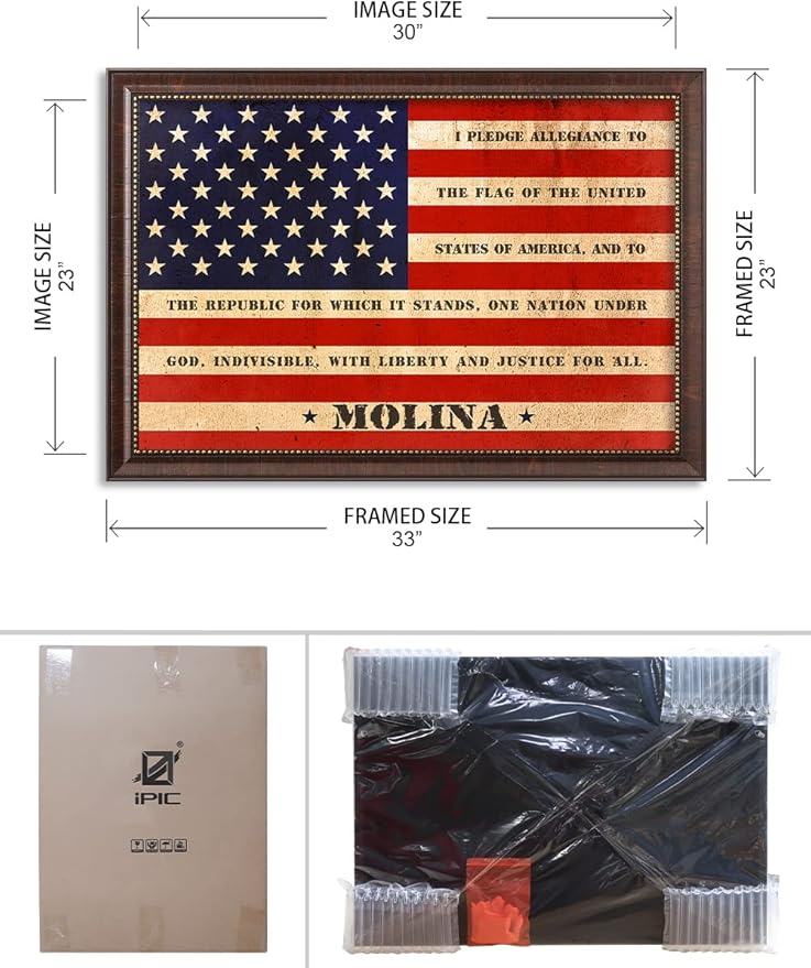 IPIC - American Flag Framed Art with Personalized Family Names & Oath. Ideal Gift for Military, Veterans & Independence Day. Show Pride & Respect. Customize Now! Total Size w/Frame: 33x23