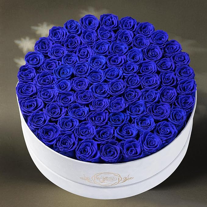 75 Preserved Roses in Suede Box – Luxury Rose Flower Arrangement, Preserved Flowers Gifts for Women, Wife or Mom – Birthday, Anniversary, Valentine’s Day, Mother's Day (Royal Blue)