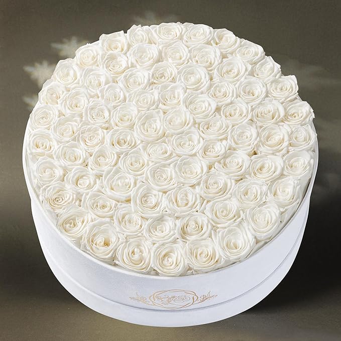 75 Preserved Roses in Suede Box – Luxury Rose Flower Arrangement, Preserved Flowers Gifts for Women, Wife or Mom – Birthday, Anniversary, Valentine’s Day, Mother's Day (White)