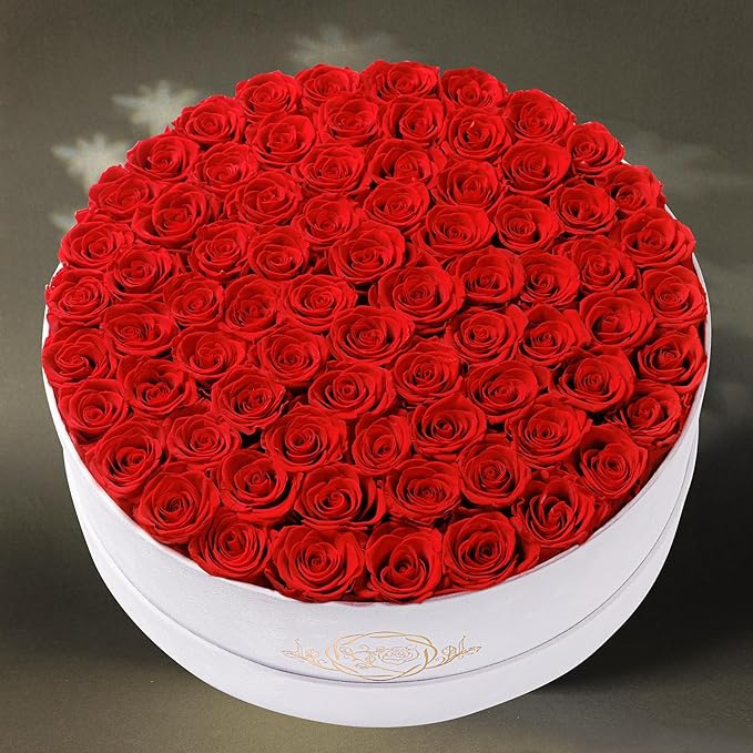 75 Preserved Roses in Suede Box – Luxury Rose Flower Arrangement, Preserved Flowers Gifts for Women, Wife or Mom – Birthday, Anniversary, Valentine’s Day, Mother's Day (Red)