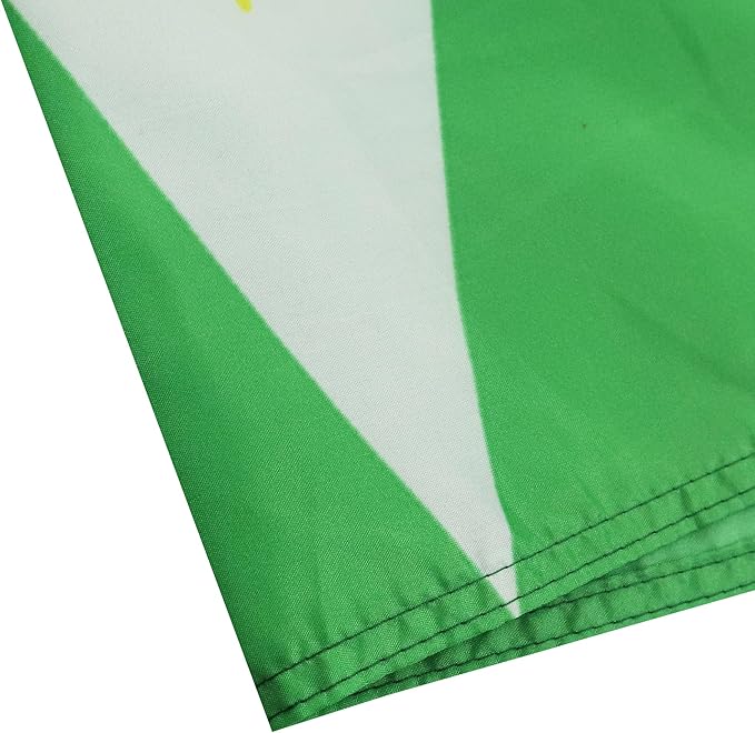 AZ FLAG Set of 10 Guyana Flags – 150 x 90 cm – 100% Polyester Guyanese Flag with Integrated Metal Eyelets