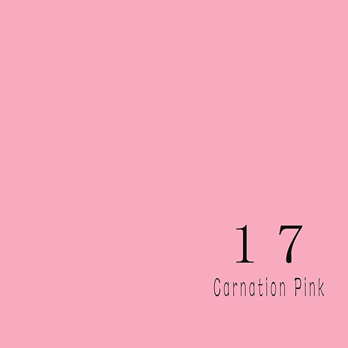 Seamless Photo Photography Backdrop Paper, Photo Background Paper Roll (Carnation Pink, 107”x19.5')