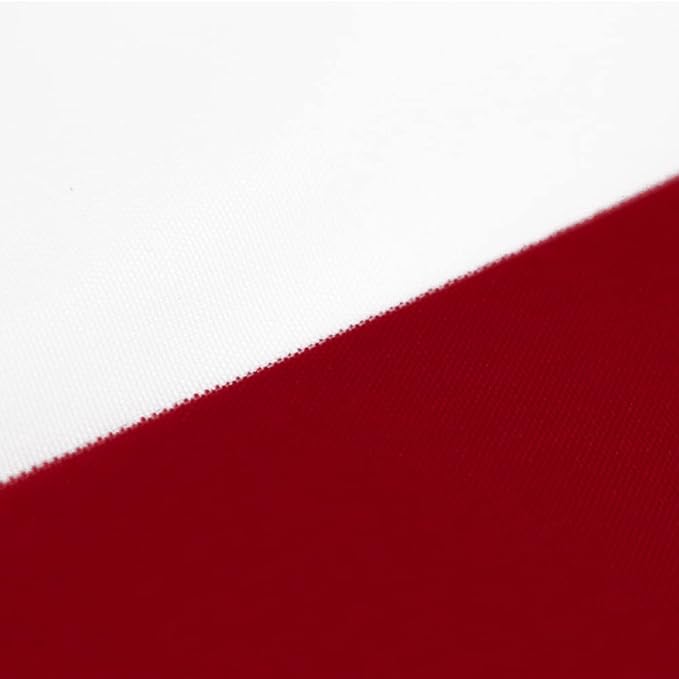 Flaglink 3x6Ft American Pleated Fan Flag Width Approx 180cm - US Patriotic Half Fan Bunting Flag 4 Pack