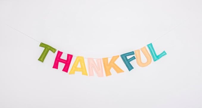 Reusable Interchangeable Holiday Felt Garland/Banner Set – Includes Valentine’s Day, Easter, 4th of July, Halloween, Thanksgiving, Christmas, Happy Birthday, and Congratulations Designs