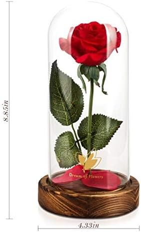 Valentines Day Gifts for Her,Beauty and The Beast Rose in Glass Dome,Lasts Forever Red Rose with LED Lights,Gifts for Women,Mom,Wife,Anniversary,Birthday, Wedding Home Decor