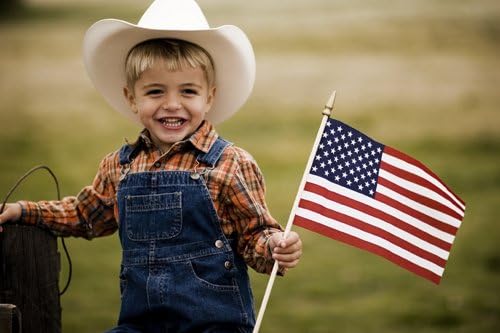 GIFTEXPRESS 24-Pack, Proudly MADE IN USA 8 x 12 Inch Spearhead Handheld American Flags on 24" Pole – Grave Marker USA Stick Flags