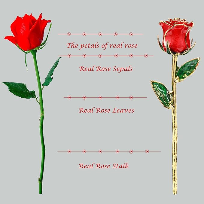 Valentines Day Gift Rose, Gold Dipped Real Rose is Attractive Luster and Natural Shape, Best Gifts for Anniversary Wedding Valentines Day (Red Original Rose with Stand)