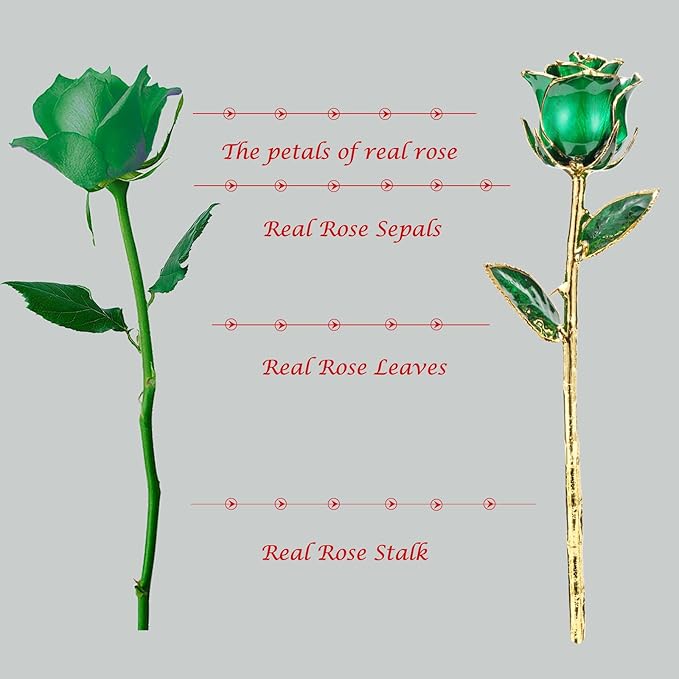 24K Gold Real Rose, Gold Dipped Rose Made from Real Rose Best Gifts for her and Great Gifts for Mom (Green Original Rose with Stand)