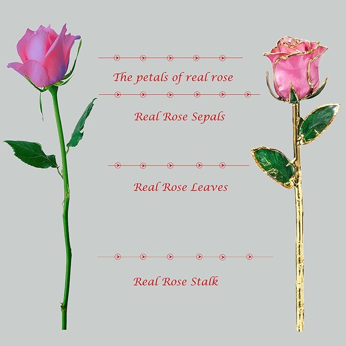 Anniversary Rose Gift for Her, Gold Dipped Rose is Attractive Luster and Natural Shape, Best Gifts for Anniversary Wedding Valentines Day (Pink Original Rose with Stand)