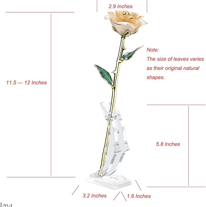 24K Gold Dipped Rose, Gold Dipped Rose Made from Real Rose Best Gifts for her and Great Gifts for My Love, Ivory with Stand
