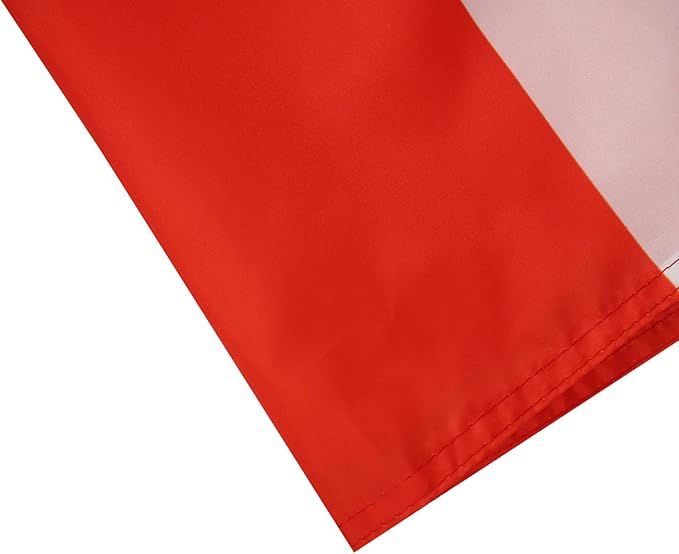 AZ FLAG Set of 10 Chile Flags - 90 x 60 cm - Chilean Flag 100% Polyester with Integrated Metal Eyelets