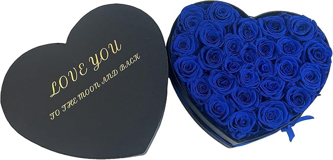 Preserved Roses Heart Shape Box Valentines Day Gifts for Her Mothers Day Forever Flowers (Blue, 27 Roses)