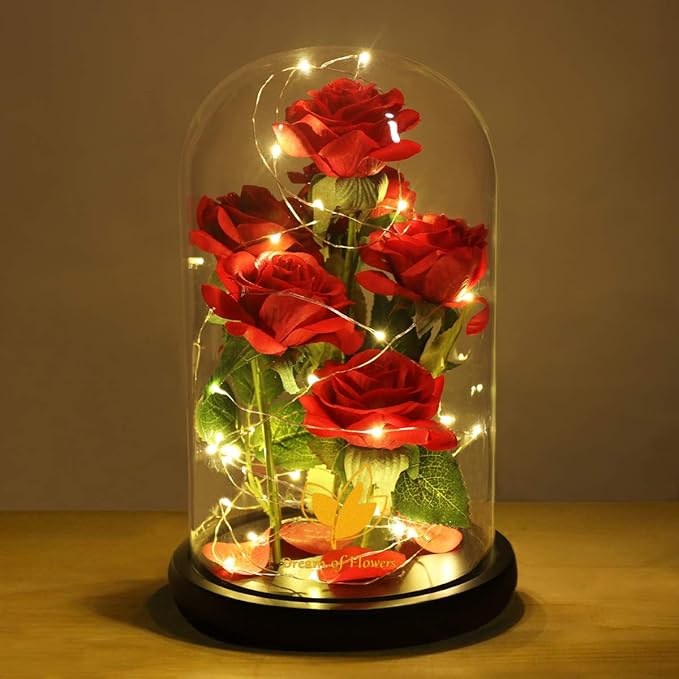Valentines Day Rose Gifts for Women,Beauty and Beast Rose in Glass Dome with LED Light,Glass Rose Flower Gifts for Her Valentines Birthday Gifts for Women Mom Wife Girlfriend Friend Forever Red Rose