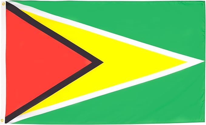 AZ FLAG Set of 10 Guyana Flags – 150 x 90 cm – 100% Polyester Guyanese Flag with Integrated Metal Eyelets