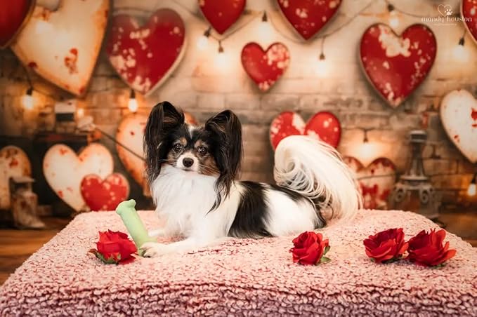 Kate Valentine Backdrop Red Love Heart Brick Wall Photo Background Valentine Chlidren Photo Booth Props, 10x6.5ft