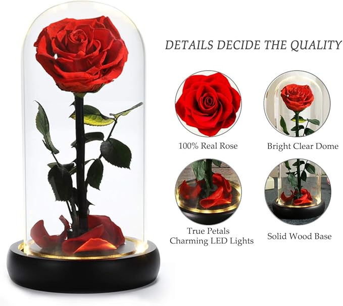 Valentines Day Gifts for Her,Valentines Flowers for Delivery Prime,Beauty and The Beast Rose in Glass Dome,Birthday Gifts for Women Her Mom Wife Girlfriend Grandma on Mother‘s Day Anniversary