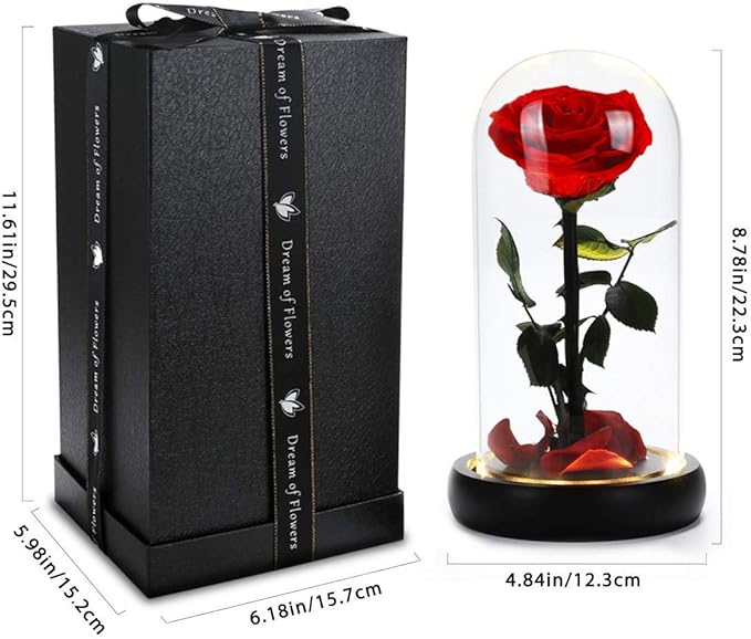 Valentines Day Gifts for Her,Valentines Flowers for Delivery Prime,Beauty and The Beast Rose in Glass Dome,Birthday Gifts for Women Her Mom Wife Girlfriend Grandma on Mother‘s Day Anniversary