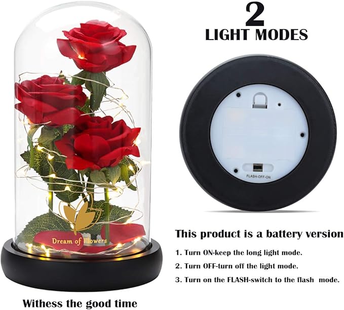 Valentines Day Gifts, Beauty and The Beast Rose,Preserved Flowers Gifts,Light Up Rose Flower in Glass Dome,Birthday Gifts for Women,Mom,Girlfriend Wife Anniversary,Valentines,Thanksgiving,Wedding