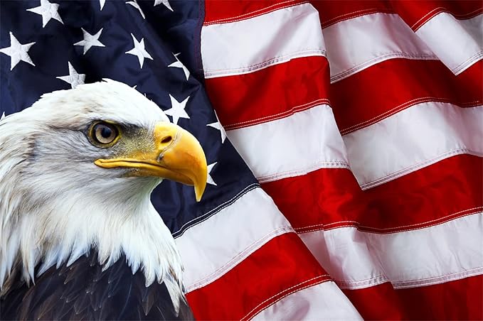 BELECO America Independence Day Backdrop 12x10ft Fabric US Flag Bald Eagle Patriotic National Holiday Backdrop Labor Day Veterans Day Memorial Day Party Banner Supplies Portrait Photoshoot Props