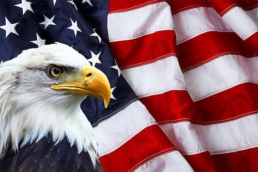 BELECO America Independence Day Backdrop 12x10ft Fabric US Flag Bald Eagle Patriotic National Holiday Backdrop Labor Day Veterans Day Memorial Day Party Banner Supplies Portrait Photoshoot Props