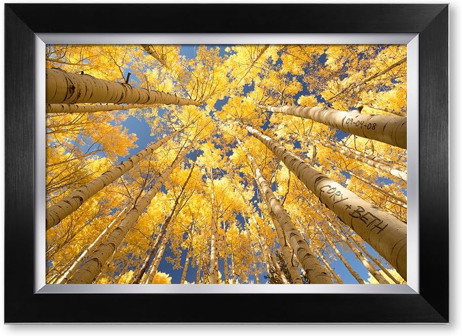 IPIC - Fall in Love, Personalized Artwork with Names and Date on for Home Decor, Customized Gift for Anniversary,Wedding,Holidays. Picture size: 18x12, Framed Size: 21x15