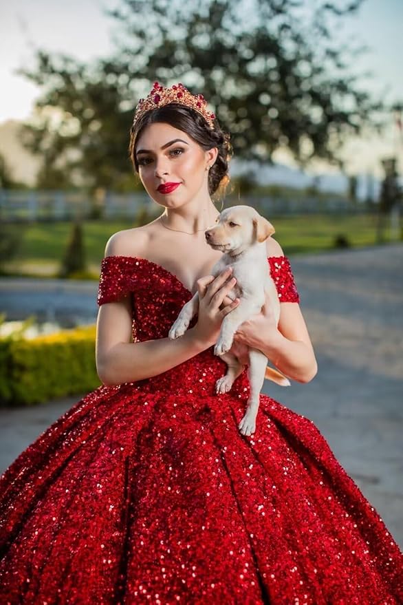 Quinceanera Dress Long Ball Gown Sparkly Sequin Off Shoulder V Neck Prom Dresses