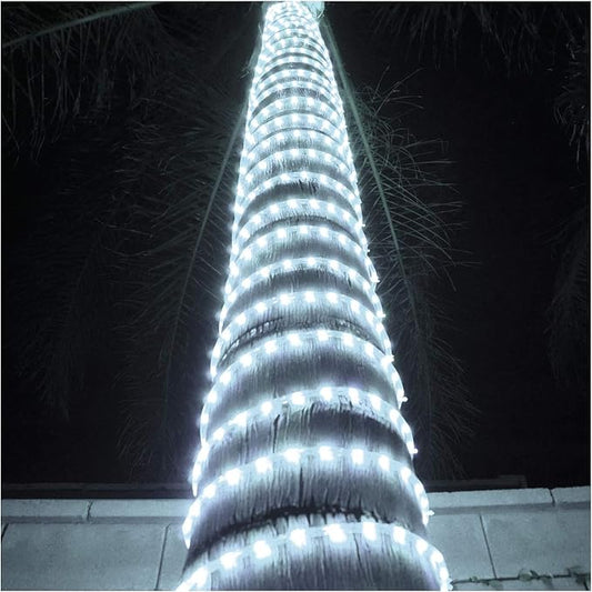 Russell Decor LED Rope Lights Festival Holiday Party Seasonal Christmas Decoration 30ft - 200ft Customized Available (Cool White, 30)