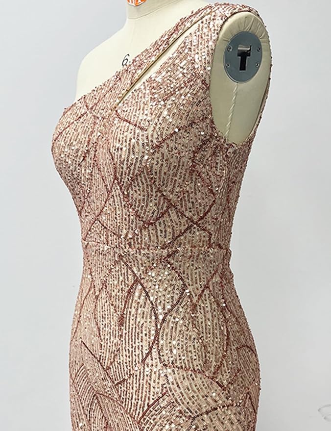 Women One Shoulder 1920s Plus Size Formal Dress Tassels Sleeve Sequins Gatsby Maxi Evening Gown