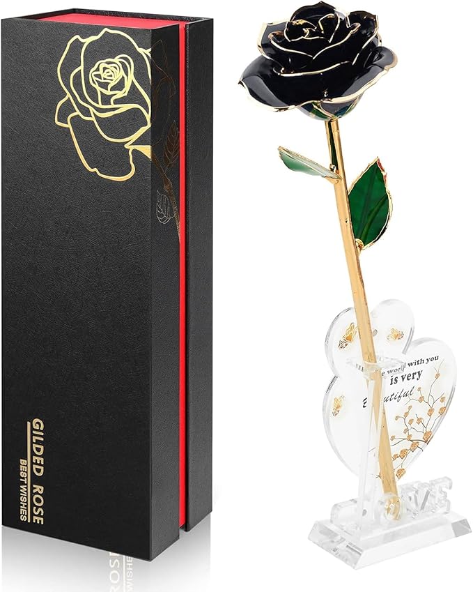 Gold Dipped Infinity Rose Last Forever Flower Decor, Birthday Gift for Women in Her Birthday Valentines Day Mothers Day, Resin Preserved Rose | Anniversary Present for Mom (Black)