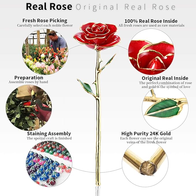 Valentines Day Gift Rose,24k Gold Real Rose Gift for her and Great Valentines Gift for her Rose, red Rose with Stand