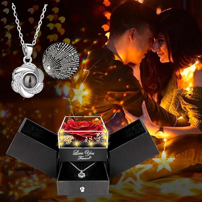 Preserved Red Chanson Real Rose-Eternal Flowers Rose Gifts for Mom Grandma Wife Girlfriend on Mothers Day Birthday Valentines Christmas Anniversary Romantic Gifts for Her with I Love You Necklace