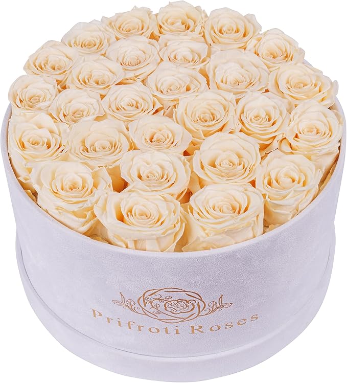 27 Flowers in a Luxury Suede Box, Birthday Gifts for Women, Preserved Flowers, Mothers Day Roses Gift for Mom, Champagne