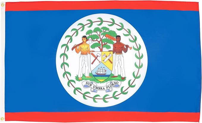 AZ FLAG Set of 5 Belize Flags – 90 x 60 cm – 100% Polyester Belize Flag with Integrated Metal Eyelets