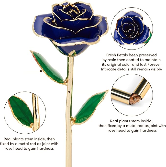 Gold Dipped Infinity Rose Last Forever Flower Decor, Birthday Gift for Women in Her Birthday Valentines Day Mothers Day, Resin Preserved Rose | Anniversary Present for Mom (Blue)