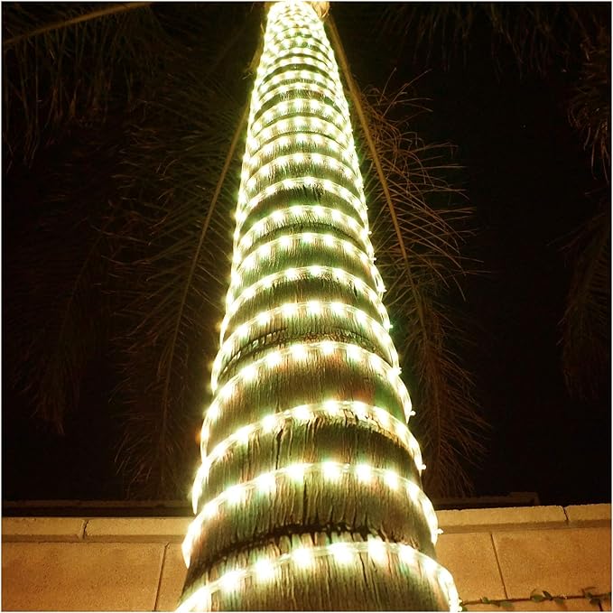 Russell Decor LED Rope Lights Festival Holiday Party Seasonal Christmas Decoration 30ft - 200ft Customized Available (Warm White, 40)