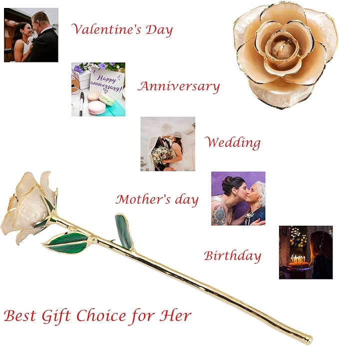 24K Gold Dipped Rose, Gold Dipped Rose Made from Real Rose Best Gifts for her and Great Gifts for My Love, Ivory with Stand