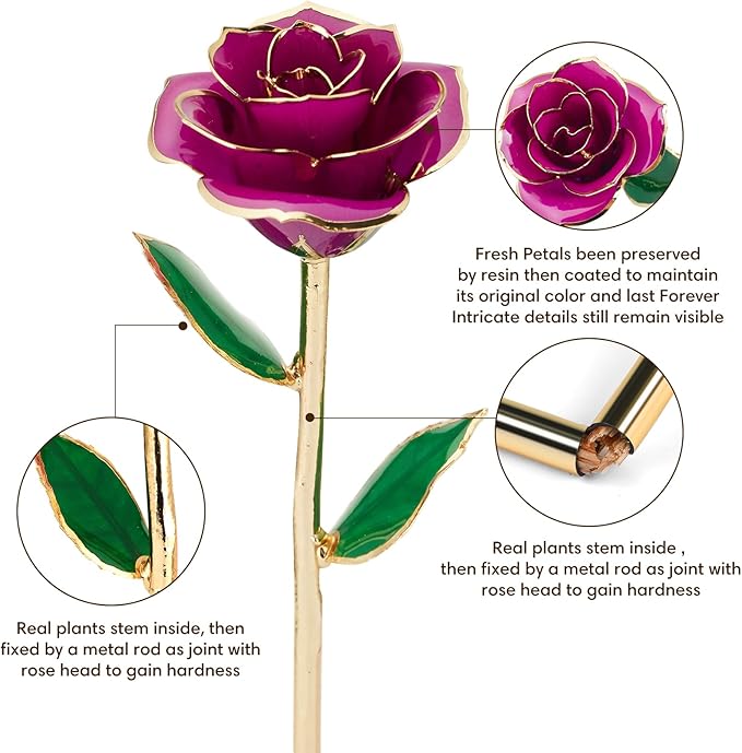 Gold Dipped Infinity Rose Last Forever Flower Decor, Birthday Gift for Women in Her Birthday Valentines Day Mothers Day, Resin Preserved Rose | Anniversary Present for Mom (Purple)