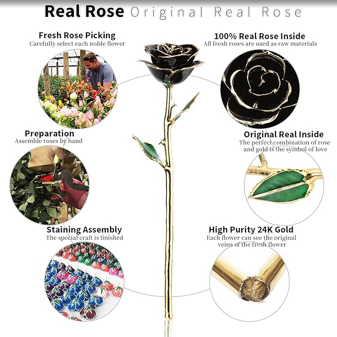 Gold Real Rose, Gold Dipped Rose Made from Real Rose Best Gifts for her and Great Gifts for Girlfriend, Black with Stand