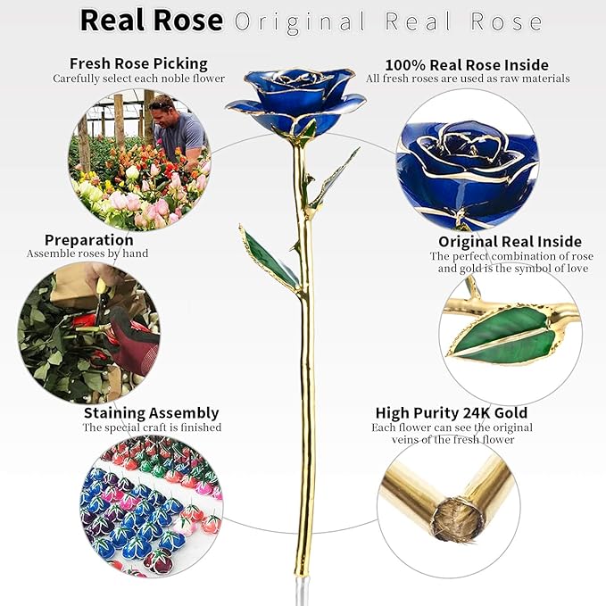 Birthday Rose Gift for her,24k Golden Real Fresh Long stem Rose and Best Birthday Gift for her Rose,Blue with Stand