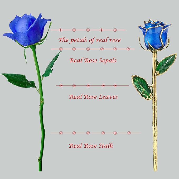 24K Gold Rose, Dipped Rose is Attractive Luster and Natural Shape, Best Gifts for Anniversary Wedding Valentines Day (Blue Original Rose with Stand)