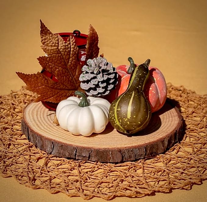 Set of (10) 7-9 inch Wood Slices for centerpieces, Arts and Crafts, and Rustic Home Decor! Wood Slice centerpieces, Wood Rounds, Tree Slices (Small 7-9 inch)