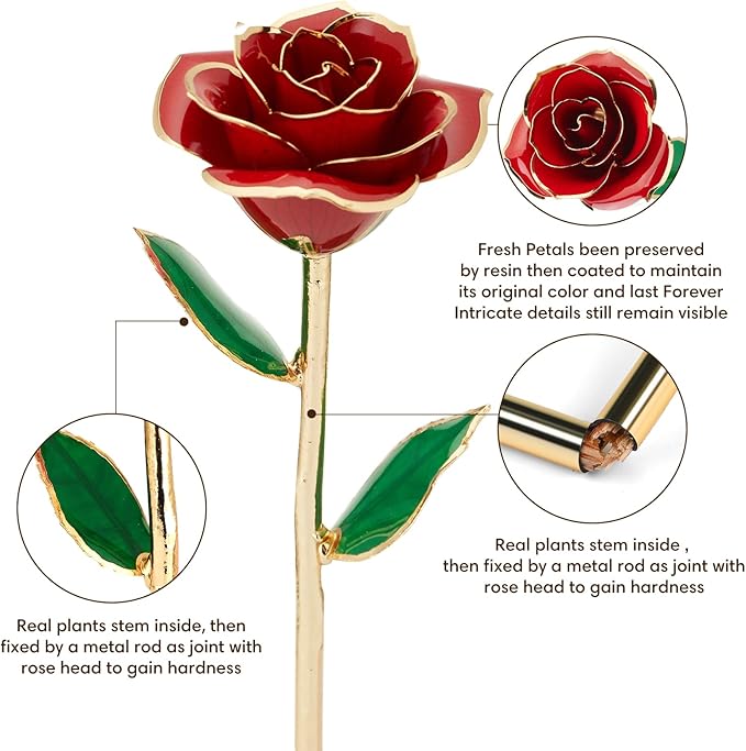 Gold Dipped Infinity Rose Last Forever Flower Decor, Birthday Gift for Women in Her Birthday Valentines Day Mothers Day, Resin Preserved Rose | Anniversary Present for Mom (Red)