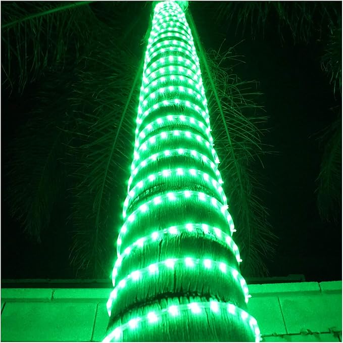 Russell Decor LED Rope Lights Festival Holiday Party Seasonal Christmas Decoration 30ft - 200ft Customized Available (Green, 50)