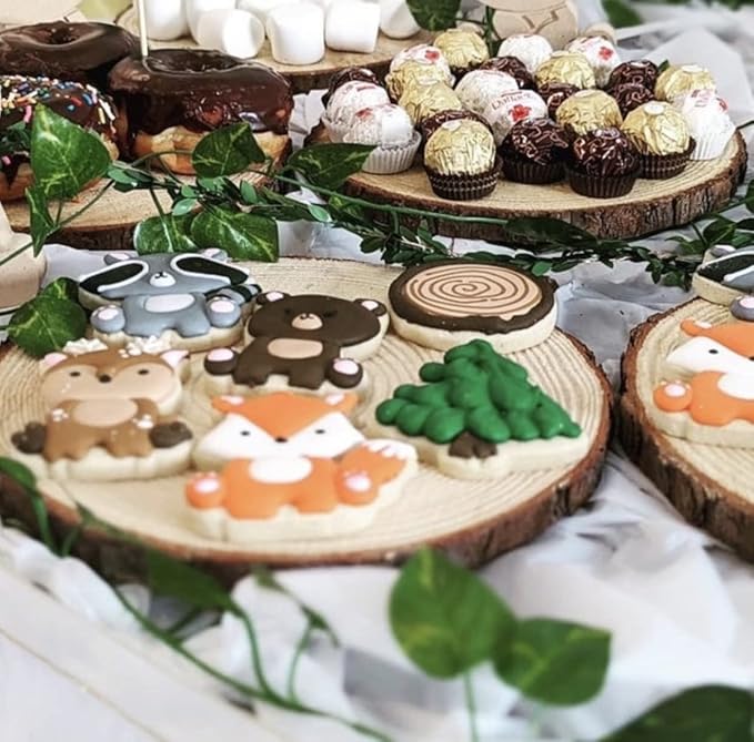 Set of (16) 9-11 inch Wood Slices for centerpieces! Wedding centerpieces, Bulk Wood Slices (9-11 inch Set of 16)