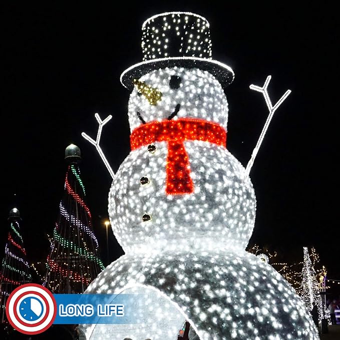 Russell Decor LED Rope Lights Festival Holiday Party Seasonal Christmas Decoration 30ft - 200ft Customized Available (Red, 20)