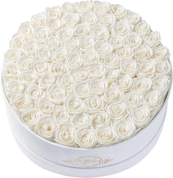 75 Preserved Roses in Suede Box – Luxury Rose Flower Arrangement, Preserved Flowers Gifts for Women, Wife or Mom – Birthday, Anniversary, Valentine’s Day, Mother's Day (White)