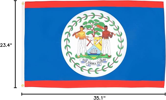 AZ FLAG Set of 5 Belize Flags – 90 x 60 cm – 100% Polyester Belize Flag with Integrated Metal Eyelets