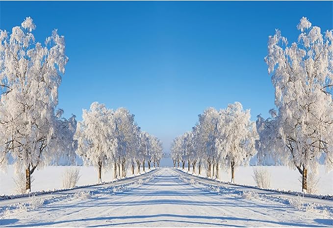 Baocicco 8x6.5ft Winter Scenery Backdrop Photography Snow Cover Trees Frozen Road Wonderland Christma Xmas Landscape Background Cloth Family Holiday Party Decorations New Year Banner Studio Props