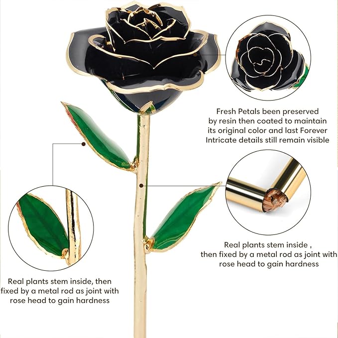 Gold Dipped Infinity Rose Last Forever Flower Decor, Birthday Gift for Women in Her Birthday Valentines Day Mothers Day, Resin Preserved Rose | Anniversary Present for Mom (Black)