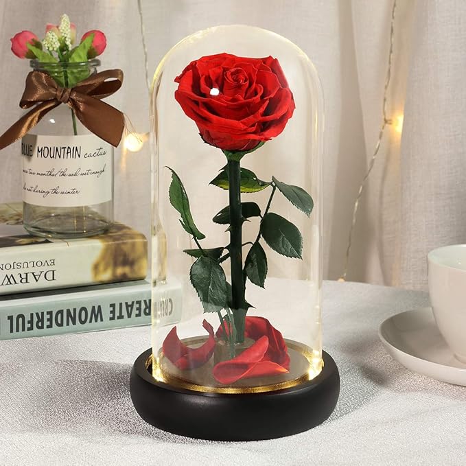 Valentines Day Gifts for Her,Valentines Flowers for Delivery Prime,Beauty and The Beast Rose in Glass Dome,Birthday Gifts for Women Her Mom Wife Girlfriend Grandma on Mother‘s Day Anniversary